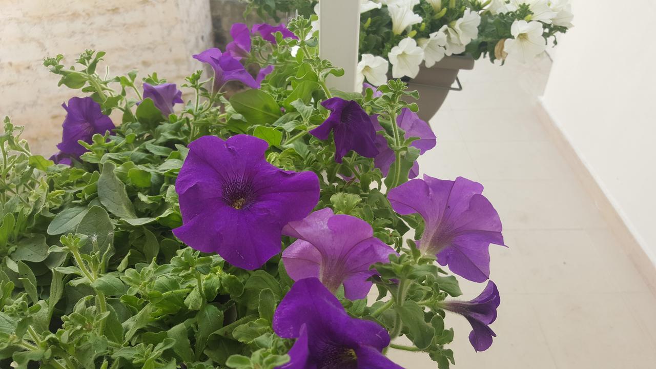 Matera Guest House Dış mekan fotoğraf
