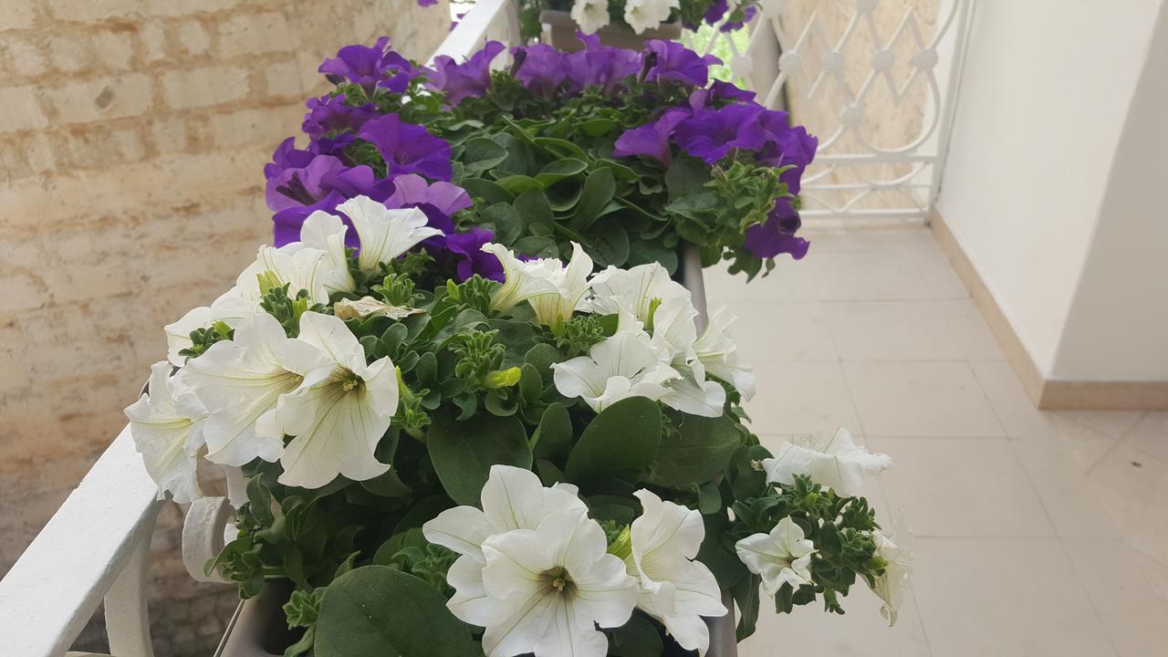 Matera Guest House Dış mekan fotoğraf
